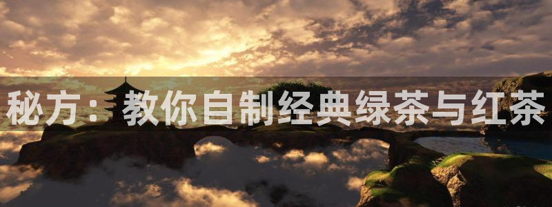 安信可f12