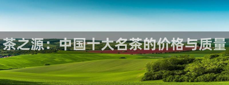 安信12级