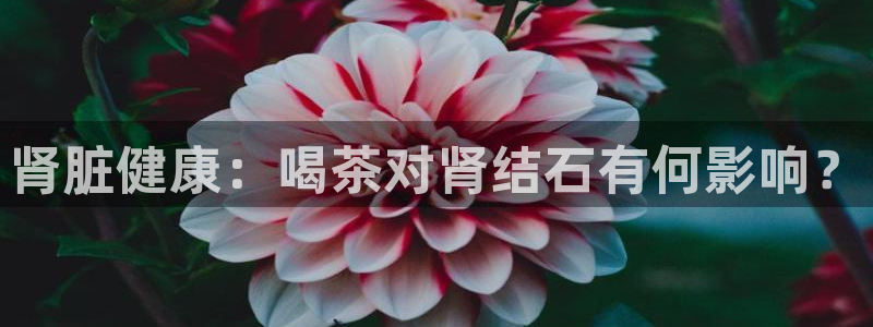 安信12平台