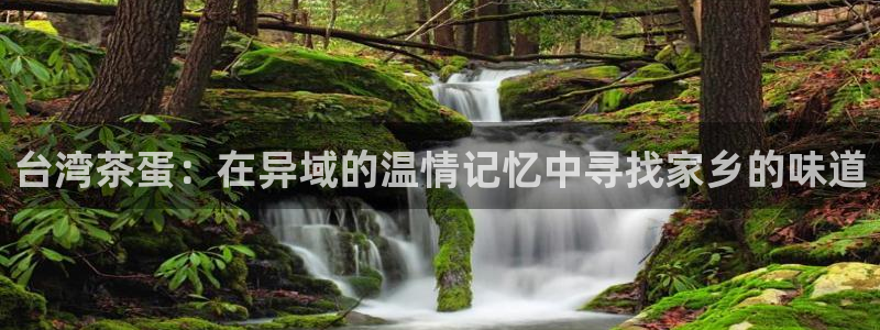 安信12平台官网