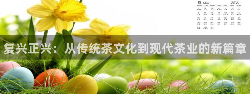 安信12是什么