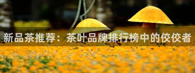 安信12正版下载