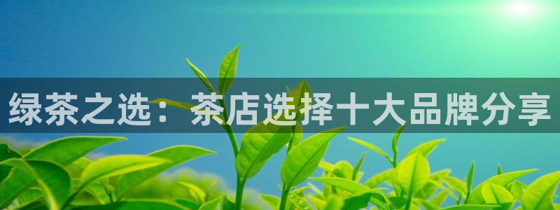 安信312 12