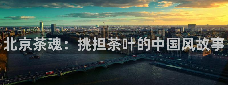 安信12娱乐主管