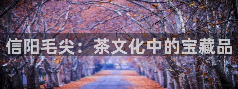 安信12负责人