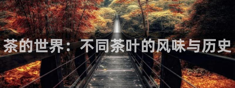 安信12登录网址