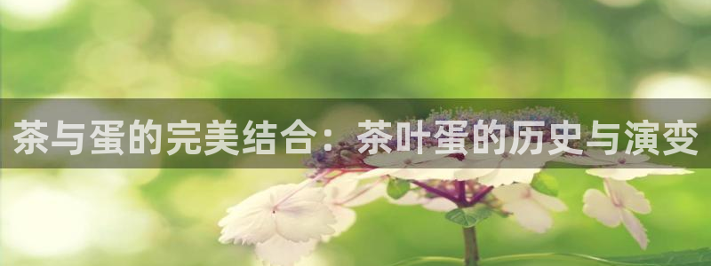安信12注册登录