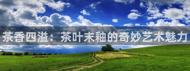 安信12是正轨网站吗