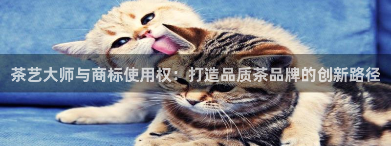 安信12周年