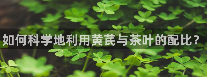 安信证券手机壳12