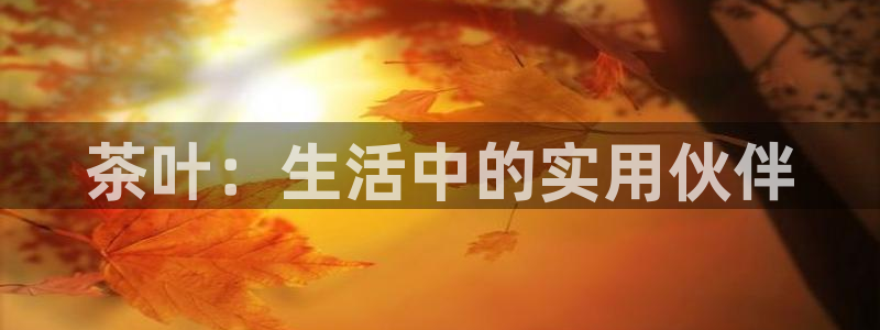 安信信托12 期