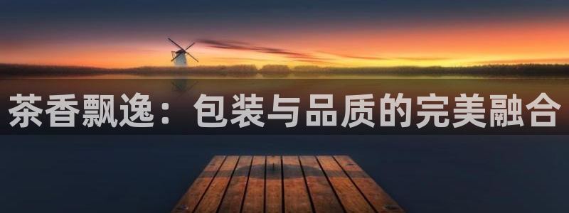 安信t12