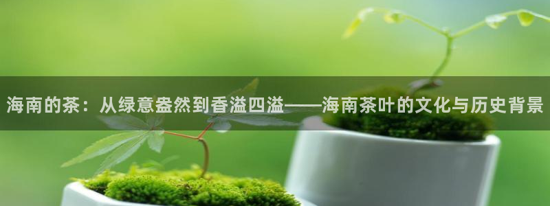 安信12周年