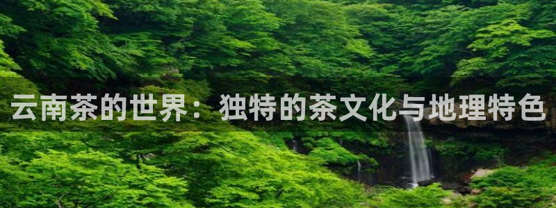 安信 12