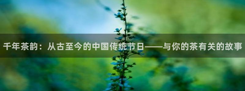 安信12是啥