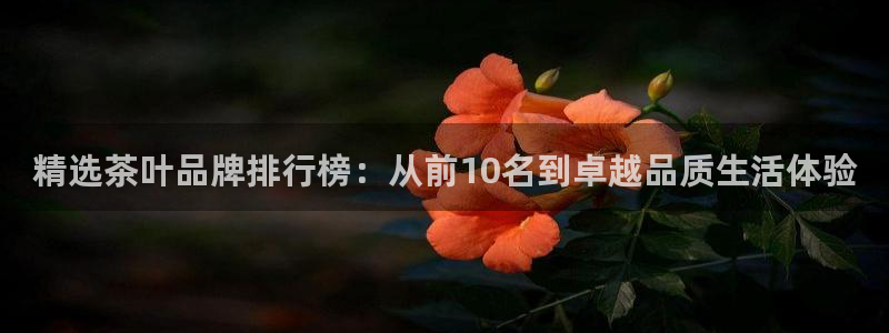 安信12账号
