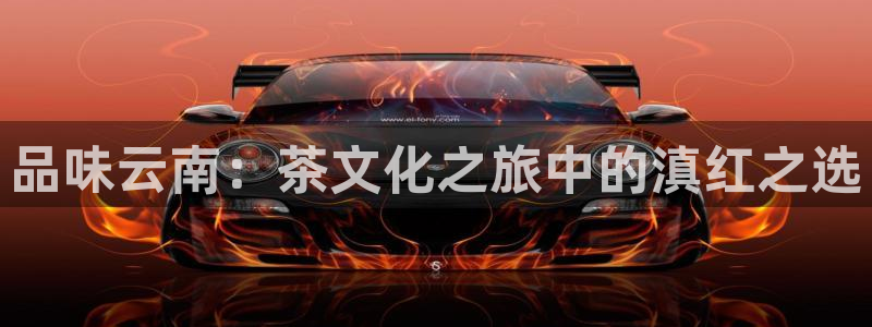 安信12平台官网