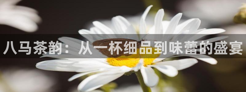 安卓12微信