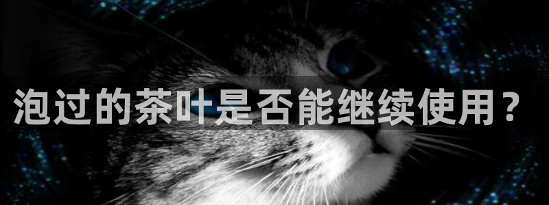 安信12官网